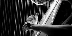 History of the Harp in Ireland