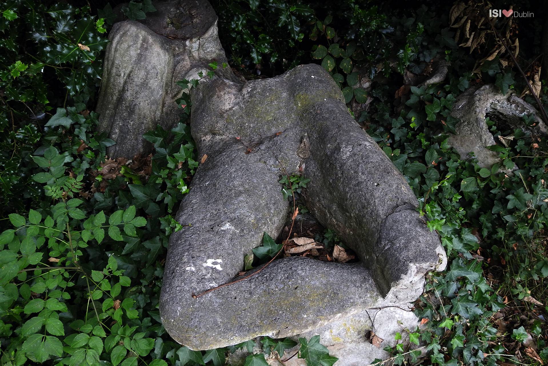 The Iveagh Gardens