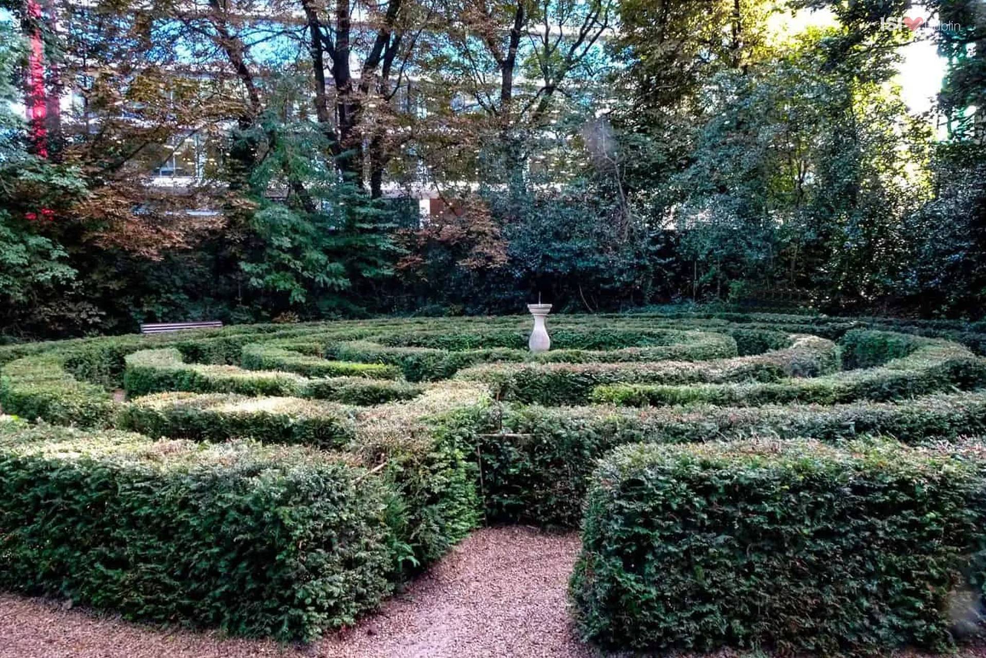 The Iveagh Gardens