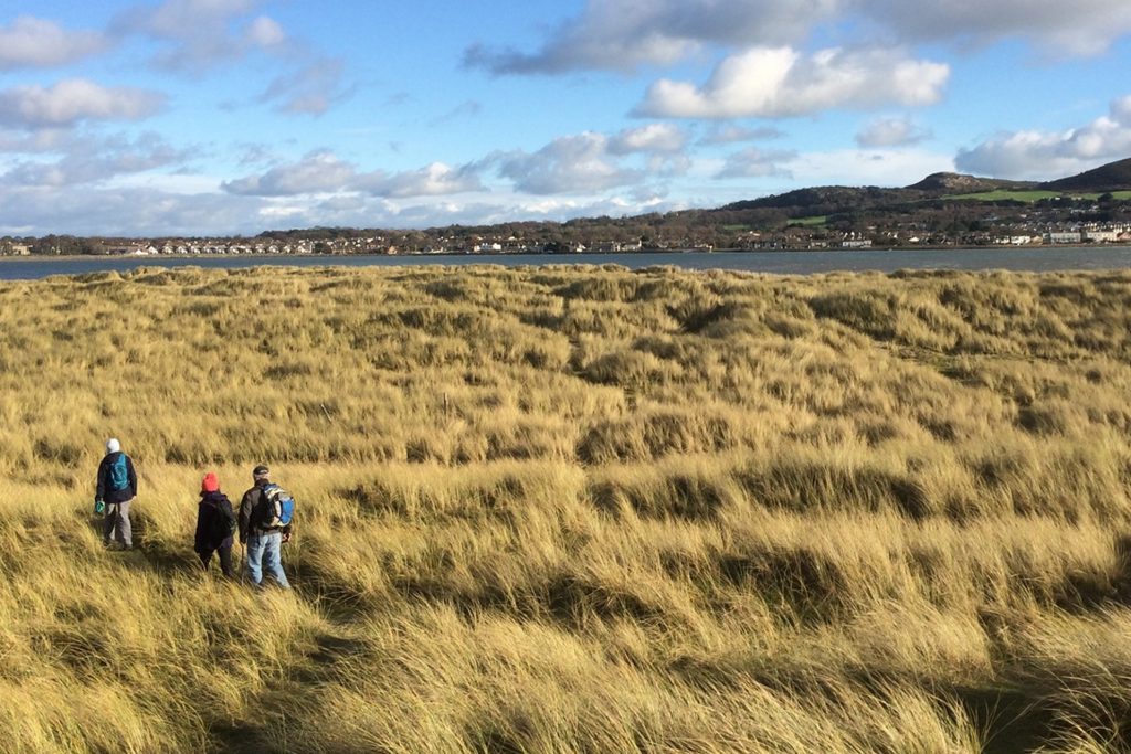 Bull Island,ISI students,studying English in Dublin,Dublin,Dollymount Strand