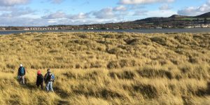 Bull Island, studenti ISI, studiare l'inglese a Dublino, Dublino, Dollymount Strand