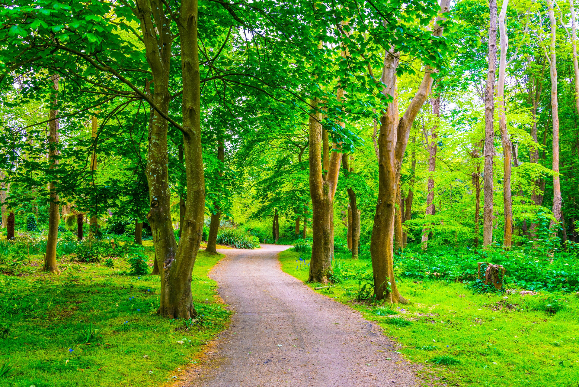 Malahide, Ireland. Malahide, Ireland.